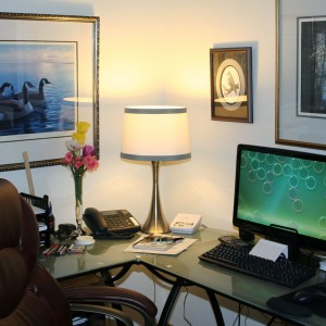 Luxusní kancelářské židle přinesou do Vaší kanceláře skvělý vzhled i pohodlné sezení
